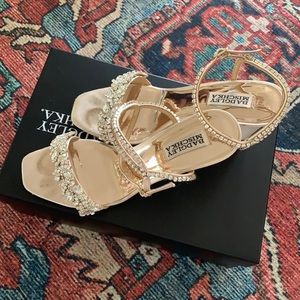 Badgley Mischka Collection Jenna Wedge Sandal